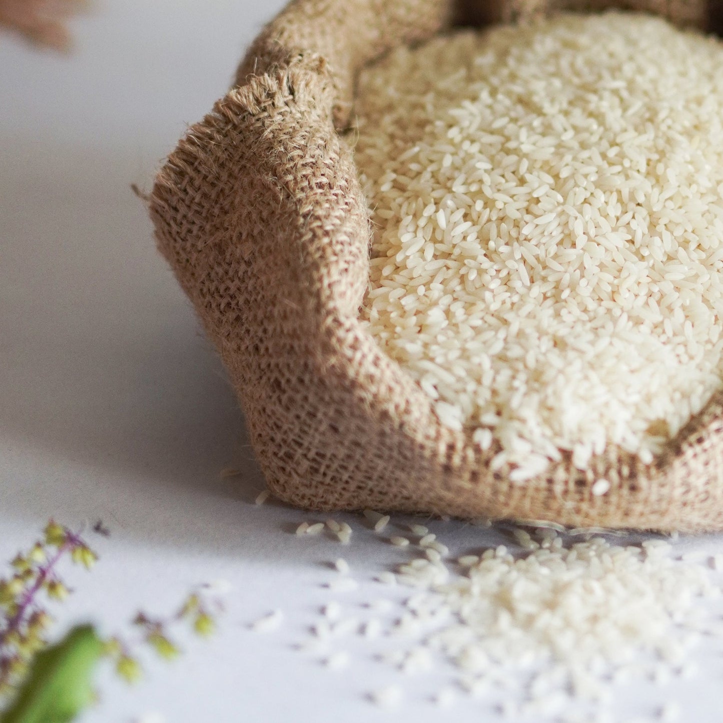 Kaima Biriyani Rice (Jeerakasala) 1kg - Spice Basket