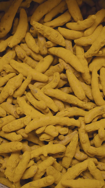 Salem Turmeric Powder