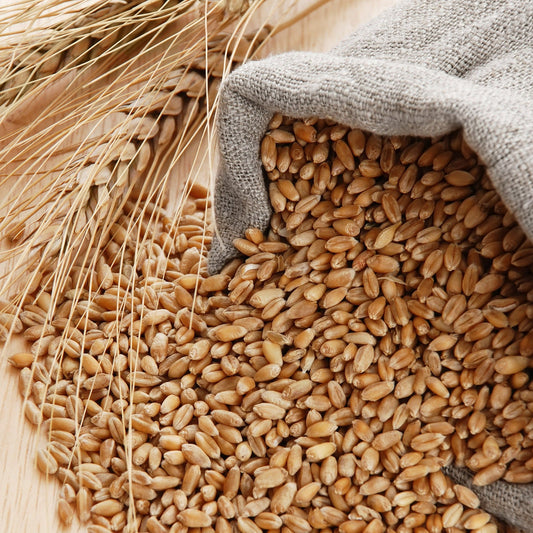 Khapli Wheat Flour (Emmer Wheat) -1kg-Spice Basket
